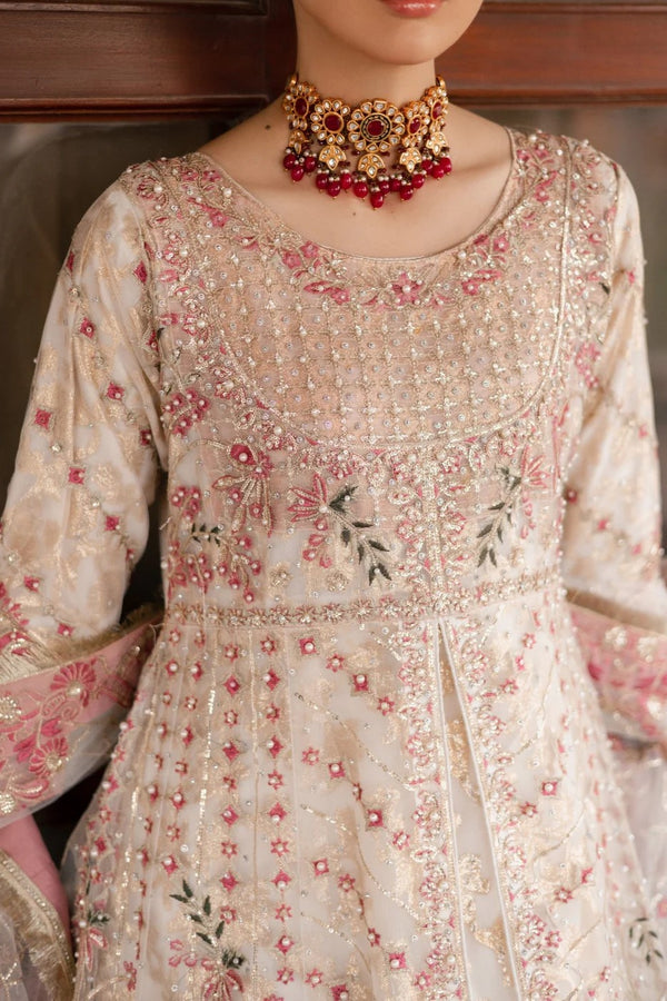 Haseens Shanzay Wedding Wear Net Maxi Dress HAS22