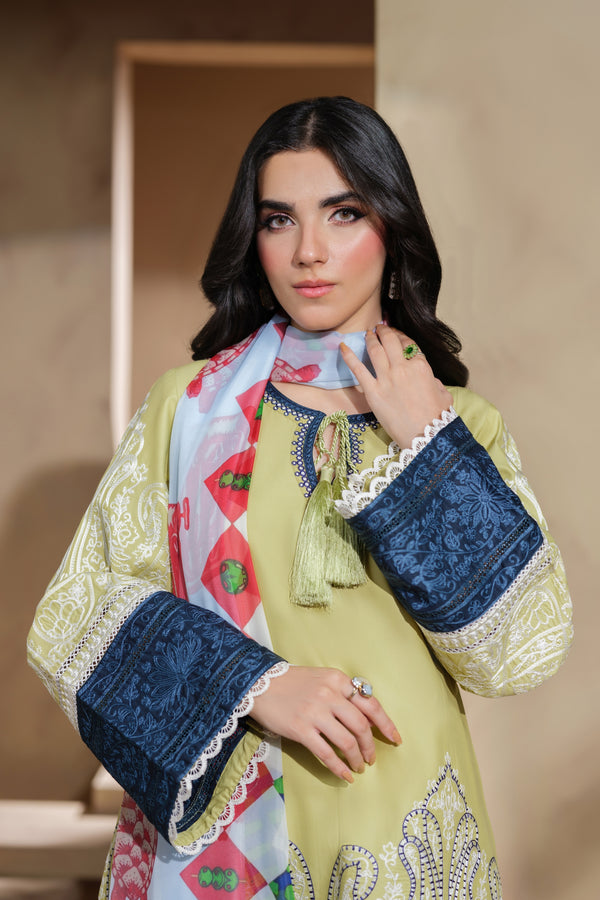 Heeras Embroidered Viscose 3 Piece Suit HEE50