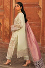 Imrozia Festive Net Formal Sunehri IMR143