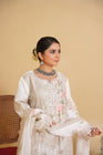 Sajni Embroidered Chiffon Party Wear SAJ16