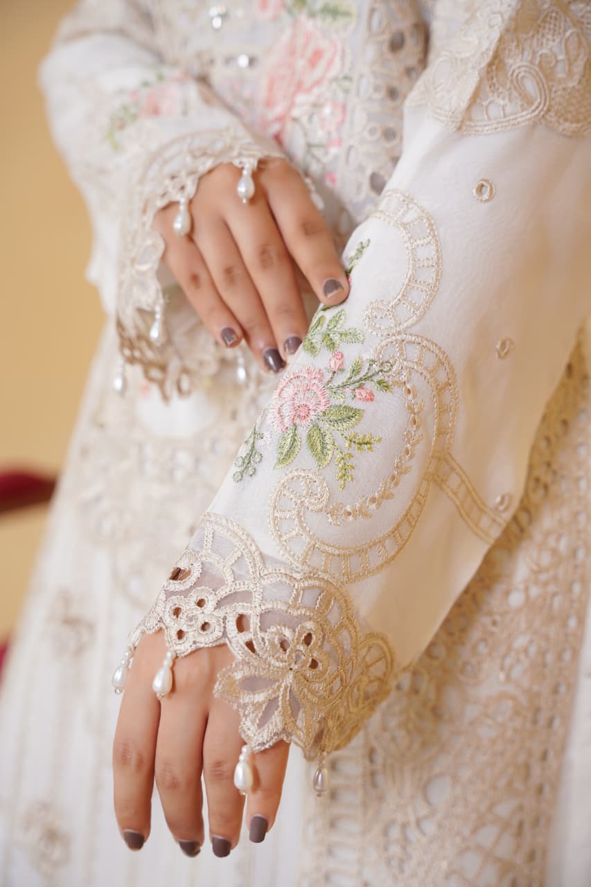 Sajni Embroidered Chiffon Party Wear SAJ16