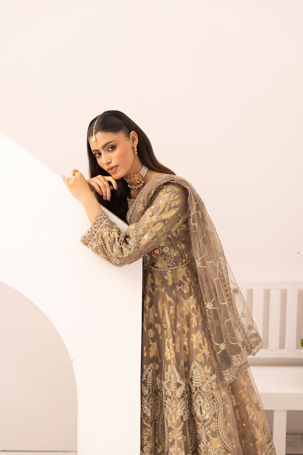 Simrans Embellished Net Anarkali Layered Maxi Dress SIM206