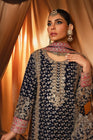 Haseens Raina Pakistani Wedding Wear Chiffon Suit HAS11-Designer dhaage