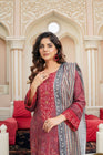 Munira Dhanak 3 Piece Pakistani Suit MUN580 - Designer dhaage