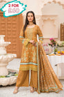 Munira Linen 3 Piece Suit MUN553-Designer dhaage