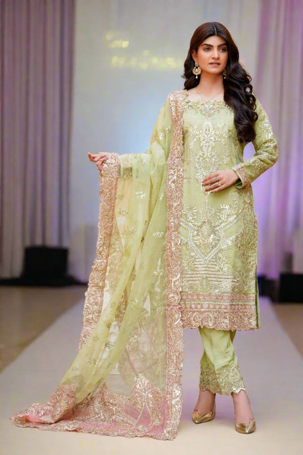 Sajni Embellished Organza Pakistani Wedding Wear SAJ02-Designer dhaage