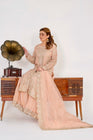 Sajni Embellished Organza Pakistani Wedding Wear SAJ03-Designer dhaage