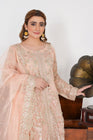 Sajni Embellished Organza Pakistani Wedding Wear SAJ03-Designer dhaage