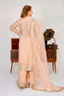 Sajni Embellished Organza Pakistani Wedding Wear SAJ03-Designer dhaage