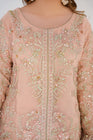 Sajni Embellished Organza Pakistani Wedding Wear SAJ03-Designer dhaage