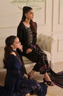 Wardah Uzair Embellished Chiffon Pakistani Wedding Wear WAR24 - Designer dhaage