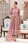 Xenia Embroidered Chiffon Pakistani A - Line Dress XEN02 - Designer dhaage