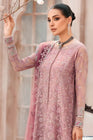 Xenia Embroidered Chiffon Pakistani A - Line Dress XEN02 - Designer dhaage