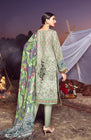 Al Zohaib Wintry Breeze ALZ11