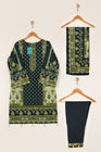 Bin Saeed Embroidered Khaddar Suit BIN17