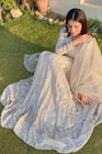 Haseens Ayeza Chiffon Pishwas Maxi Dress HAS01-Designer dhaage