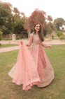 Haseens Meeral Wedding Wear Maxi Dress HAS03-Designer dhaage