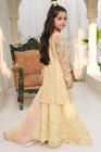 HEM Girls Pakistani Wedding Wear HEM08-Designer dhaage