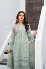 Karma Festive Embroidered Suit KAR26