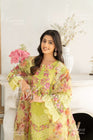 Karma Festive Embroidered Suit KAR44