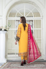 Mihrimah Embroidered Chiffon Party Wear MIH53 - Designer dhaage