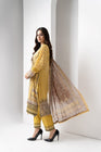Munira Cambric 3 Piece Suit MUN510-Designer dhaage