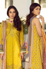 Rang Rasiya Florence Luxe NAZDULIA