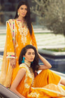 Rang Rasiya Florence Luxe REGALIUM