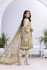 Raniya.H Embroidered Lawn Collection RAH06