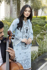 Simrans Festive Embroidered Suit SIM141