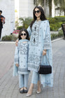 Simrans Festive Embroidered Suit SIM141