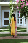 Casual Lite Festive Cotton 3 Piece Suit CAS66