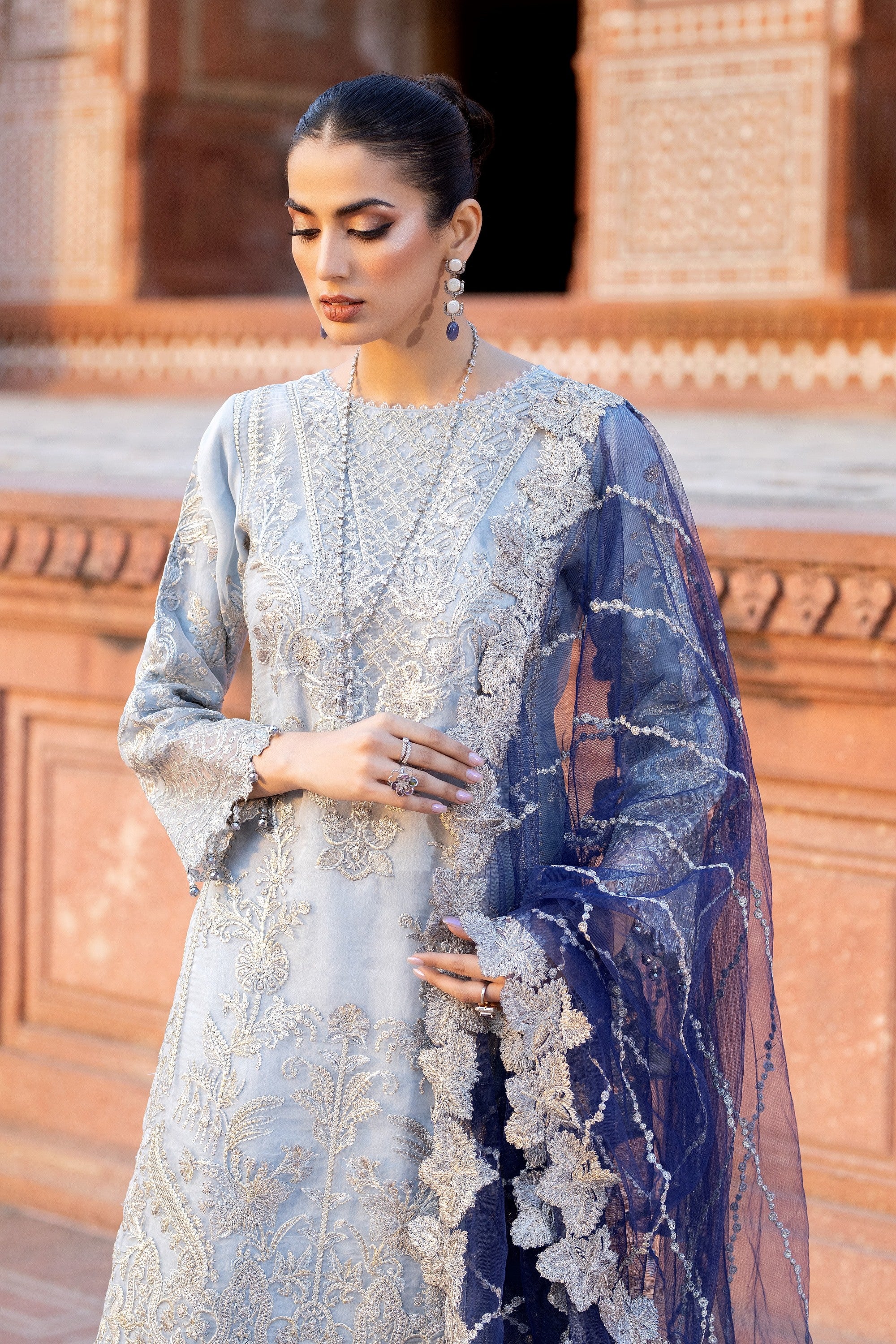 Imrozia Festive Organza Formal Jafna IMR149-Designer dhaage