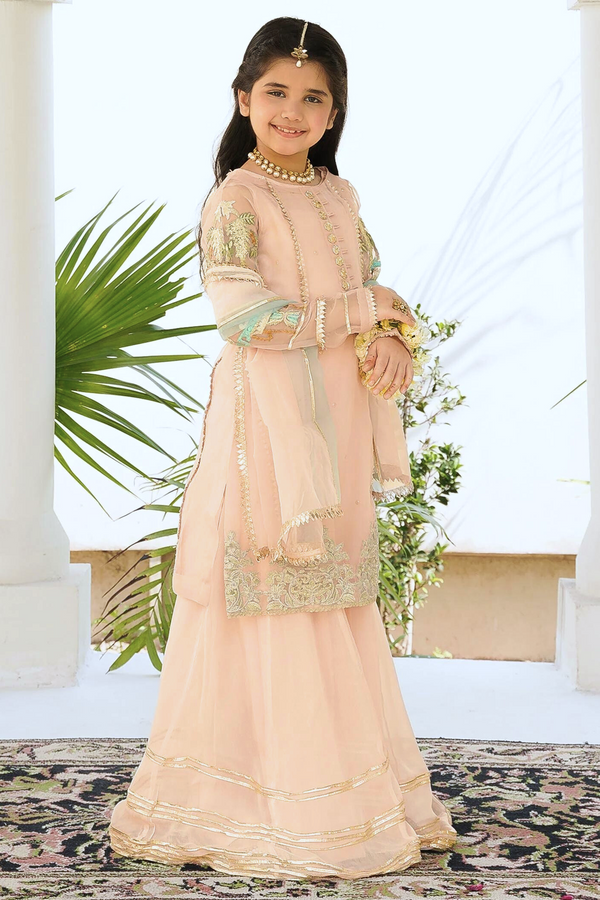 HEM Girls Pakistani Wedding Wear HEM01