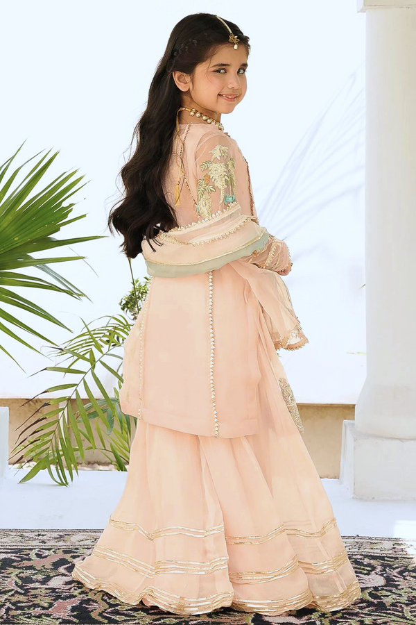 HEM Girls Pakistani Wedding Wear HEM01