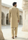 Allys Pakistani Mens Shalwar Kameez ALM07
