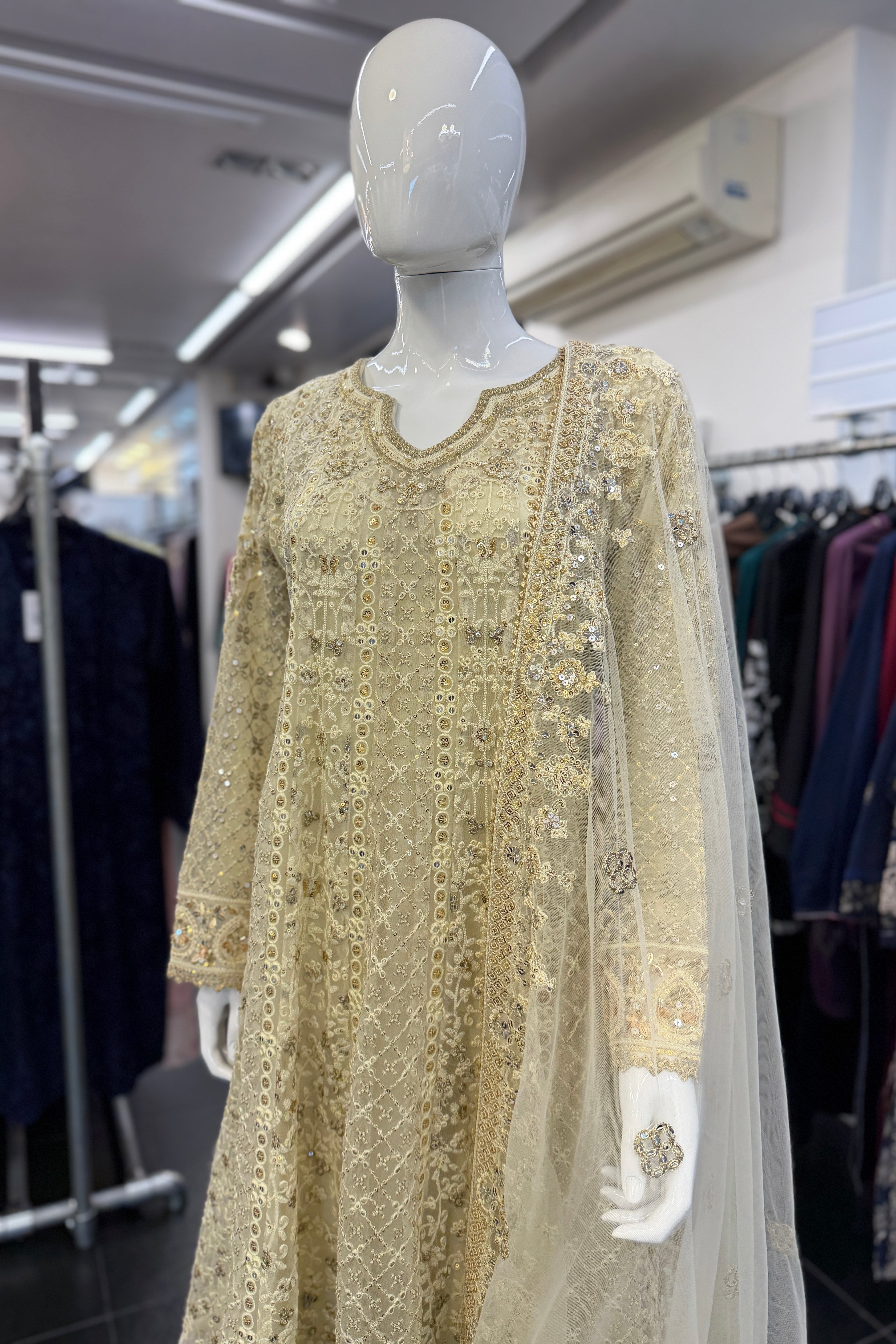 Sajni Embroidered Net Wedding Wear SAJ25
