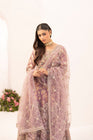 Simrans Embellished Net Anarkali Layered Maxi Dress SIM205
