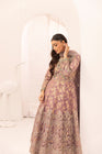 Simrans Embellished Net Anarkali Layered Maxi Dress SIM205