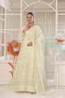 Wardah Uzair Embroidered Chiffon Gown Maxi Dress WAR65