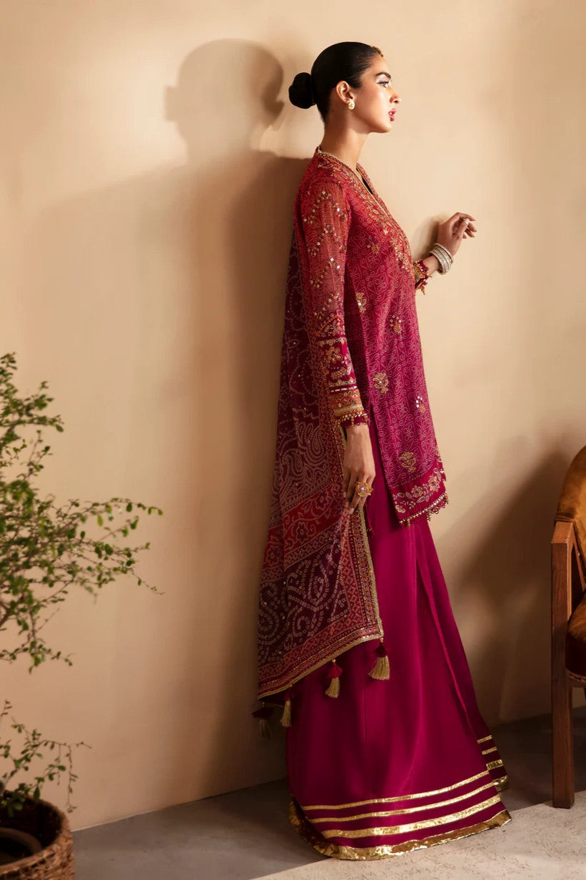 Xenia Arisa Embroidered Chiffon Formal Wear XEN03