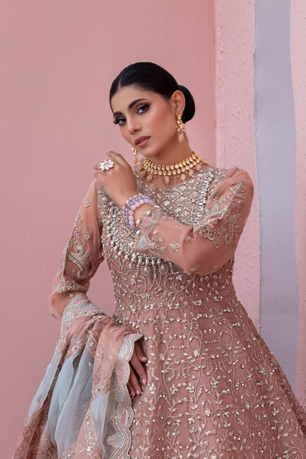 Differ Pakistani Wedding Wear Organza Maxi Dress DIF05-Designer dhaage