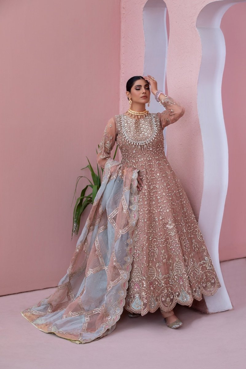 Differ Pakistani Wedding Wear Organza Maxi Dress DIF05-Designer dhaage