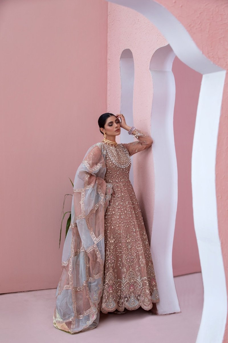 organza wedding dress pakistani RANGREZA Suit BD-4139