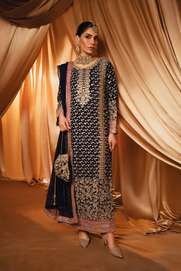 Haseens Raina Pakistani Wedding Wear Chiffon Suit HAS11-Designer dhaage