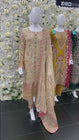 Sajni Embroidered Chiffon Wedding Wear SAJ01