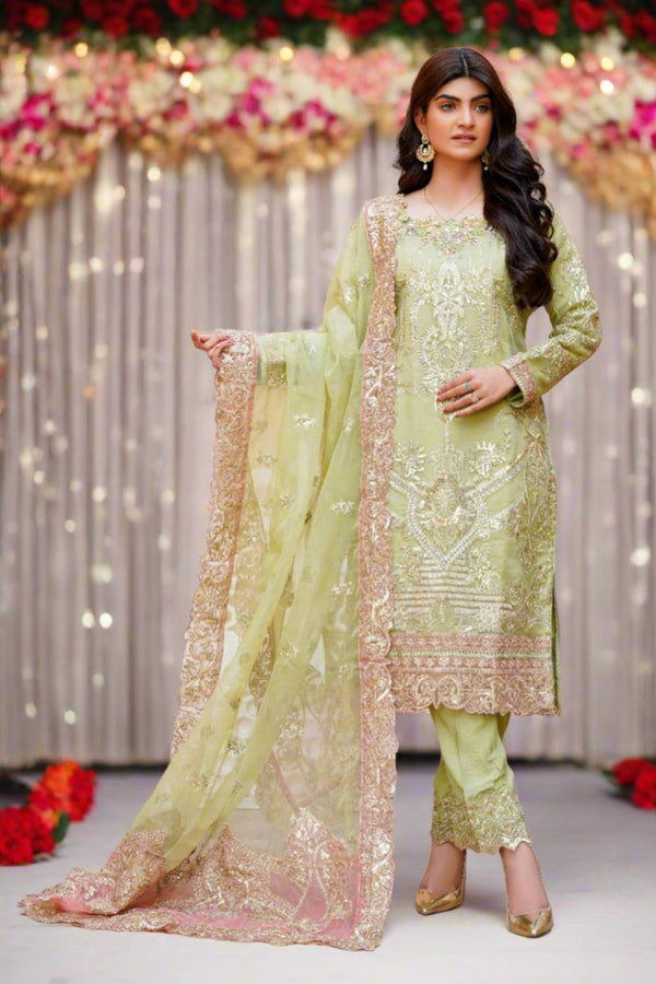 Sajni Embellished Organza Pakistani Wedding Wear SAJ02-Designer dhaage