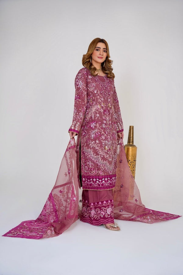 Sajni Embellished Organza Pakistani Wedding Wear SAJ04-Designer dhaage