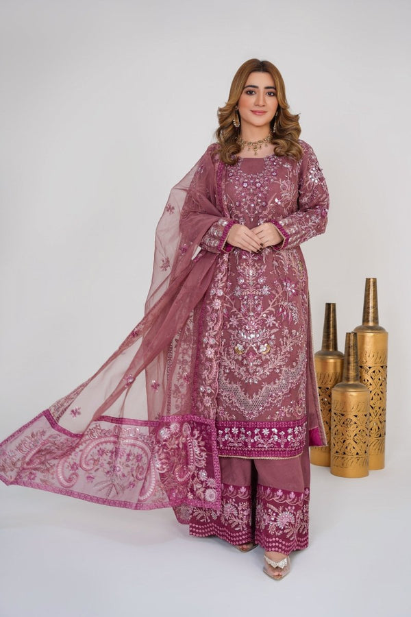 Sajni Embellished Organza Pakistani Wedding Wear SAJ04-Designer dhaage