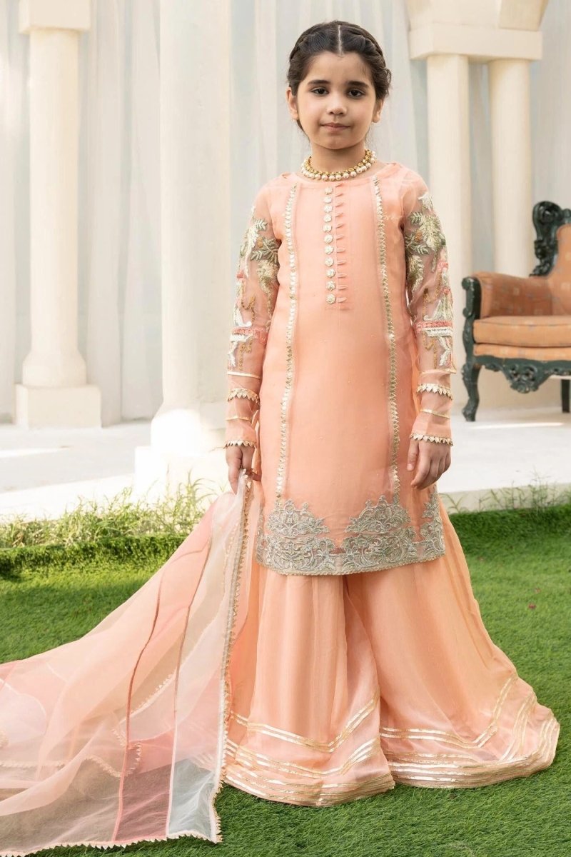 HEM Girls Pakistani Wedding Wear HEM06-Designer dhaage